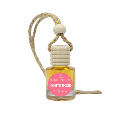 White Rose - Cylinder Hanging