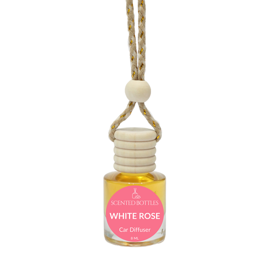 White Rose - Cylinder Hanging