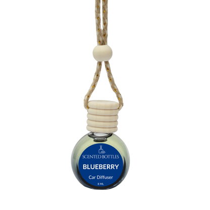Blueberry car diffuser and car air freshener 